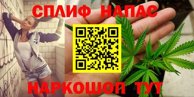 сатива Камышлов