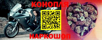 сатива Камышлов